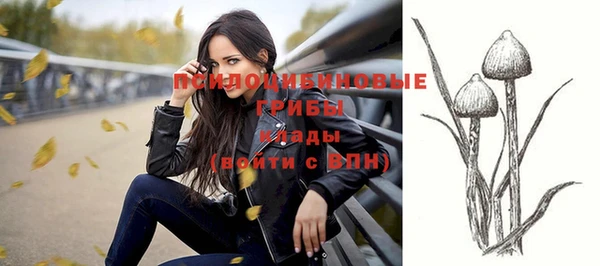 экстази Михайлов