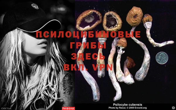 бошки Михайловка