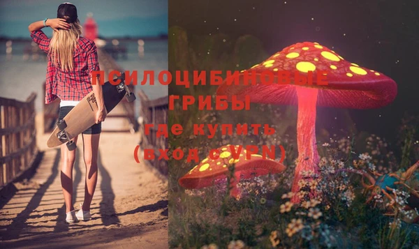 бошки Михайловка