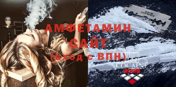 крисы Мегион